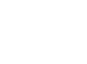 Logotipo Loteria del Puente en blanco